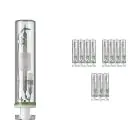 Mehrfachpackung 12x Philips MASTERColour PGJ5 CDM-Tm Elite Mini 35W - 930 Warmweiß | Höchste Farbwiedergabe