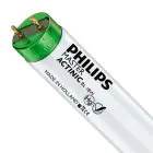 Philips MASTER TL-D Actinic BL 18W - Ultraviolett | 60cm